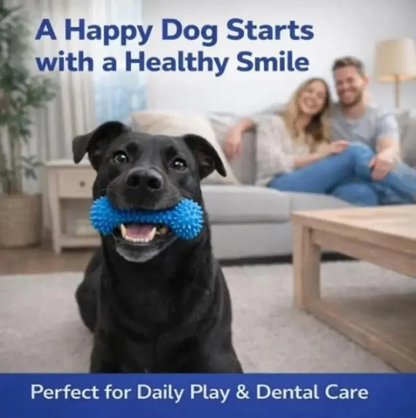 PawTalki Dental Tug Toy – Clean Teeth, Happy Chompers