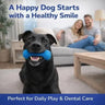 PawTalki Dental Tug Toy – Clean Teeth, Happy Chompers