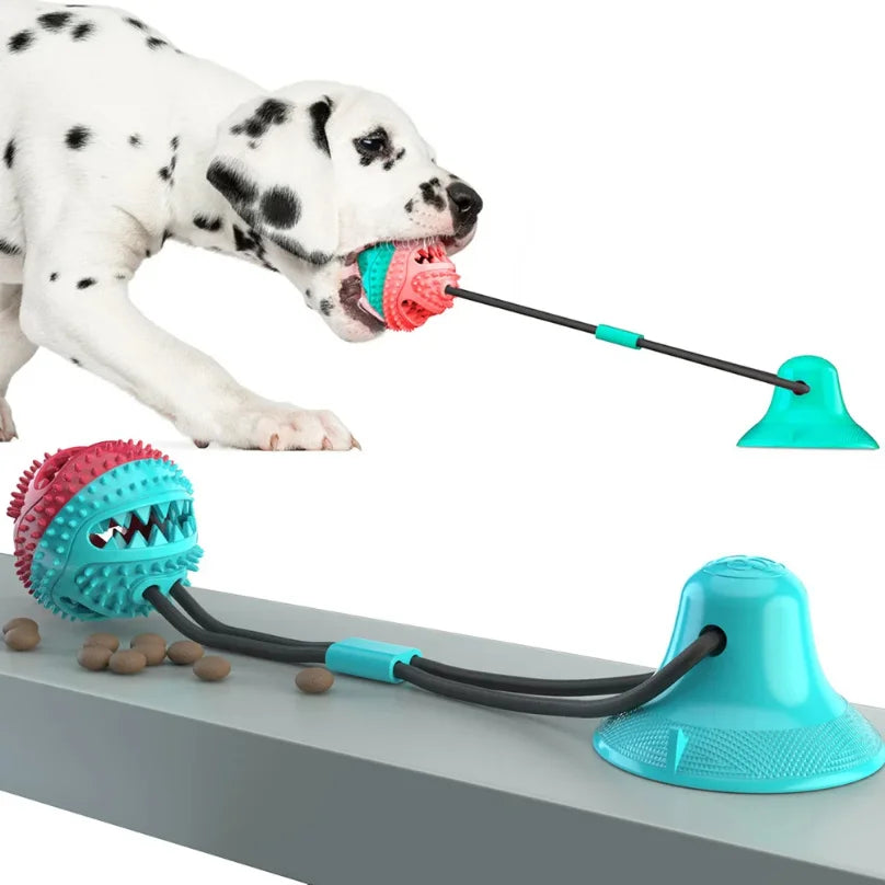 PawTalki Suction Chew Toy – Stick, Tug, Chomp, Repeat