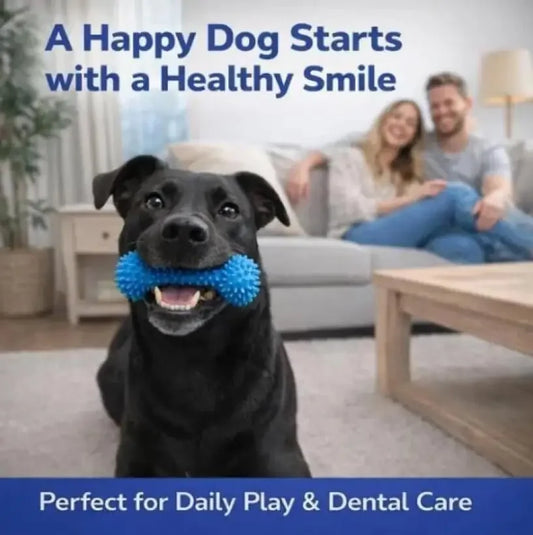PawTalki Dental Tug Toy – Clean Teeth, Happy Chompers