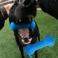 PawTalki Dental Tug Toy – Clean Teeth, Happy Chompers