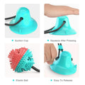 PawTalki Suction Chew Toy – Stick, Tug, Chomp, Repeat