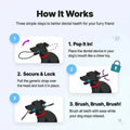 PawTalki Dental Tug Toy – Clean Teeth, Happy Chompers