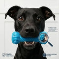 PawTalki Dental Tug Toy – Clean Teeth, Happy Chompers