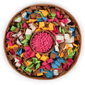 PawTalki Snuffle Mat – Nose-Work Fun That Tires Them Out